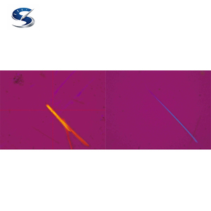 Microscopio Polarizador/Dispersor LV100ND POL/DS para Análisis Cualitativo e Identificación de Asbesto - Product Image 4