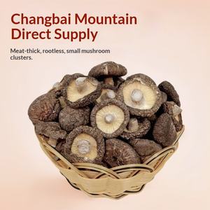 Kuzeydoğu Çin'den Kuru <span class=keywords><strong>Shiitake</strong></span> Mantarı, Komluk Ağacından Yetiştirilmiş, 1 kg, Çorba ve Güveç İçin Gıda Sınıfı - Product Image 4