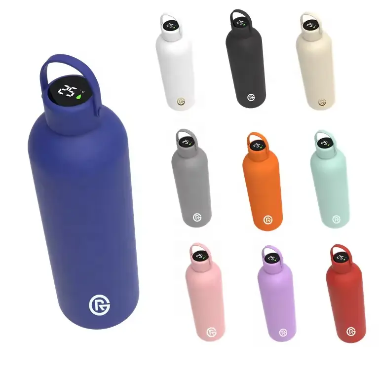 2024 New Technology BPA Free Drinkware 500ml 750ml Smart LED Temperature Display Double Wall Stainless Steel Water Bottle