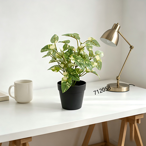 <span class=keywords><strong>ต้น</strong></span><span class=keywords><strong>บอน</strong></span>ไซขนาดเล็ก ใบคาลาเดียมหลากสีสันเสมือนจริง <span class=keywords><strong>สี</strong></span>ขาวเขียวในกระถาง<span class=keywords><strong>สี</strong></span><span class=keywords><strong>ดำ</strong></span> สำหรับห้องน้ำและห้องครัว - Product Image 1