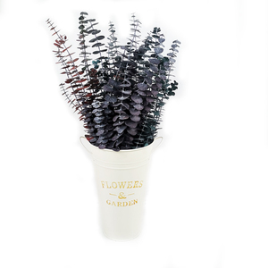 ของชำร่วยงานแต่งงานสไตล์ใหม่ ซัมเมอร์ ฟลอร่า ดอกไม้แห้งหลากสี ดอกไม้ประดิษฐ์ ยูคาลิปตัส - Product Image 2