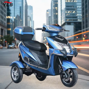 Moto <span class=keywords><strong>électrique</strong></span> pour adultes <span class=keywords><strong>1000W</strong></span> OEM d'usine, <span class=keywords><strong>Quad</strong></span> Stealth Bomber, batterie au plomb-acide 60V, en promotion à prix réduit - Product Image 3