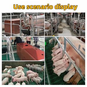 قفص تربية الخنازير قفص زرع سرير الحمل المجلفن حار بيع الخنازير مزرعة زرع قفص التخويف - Product Image 6
