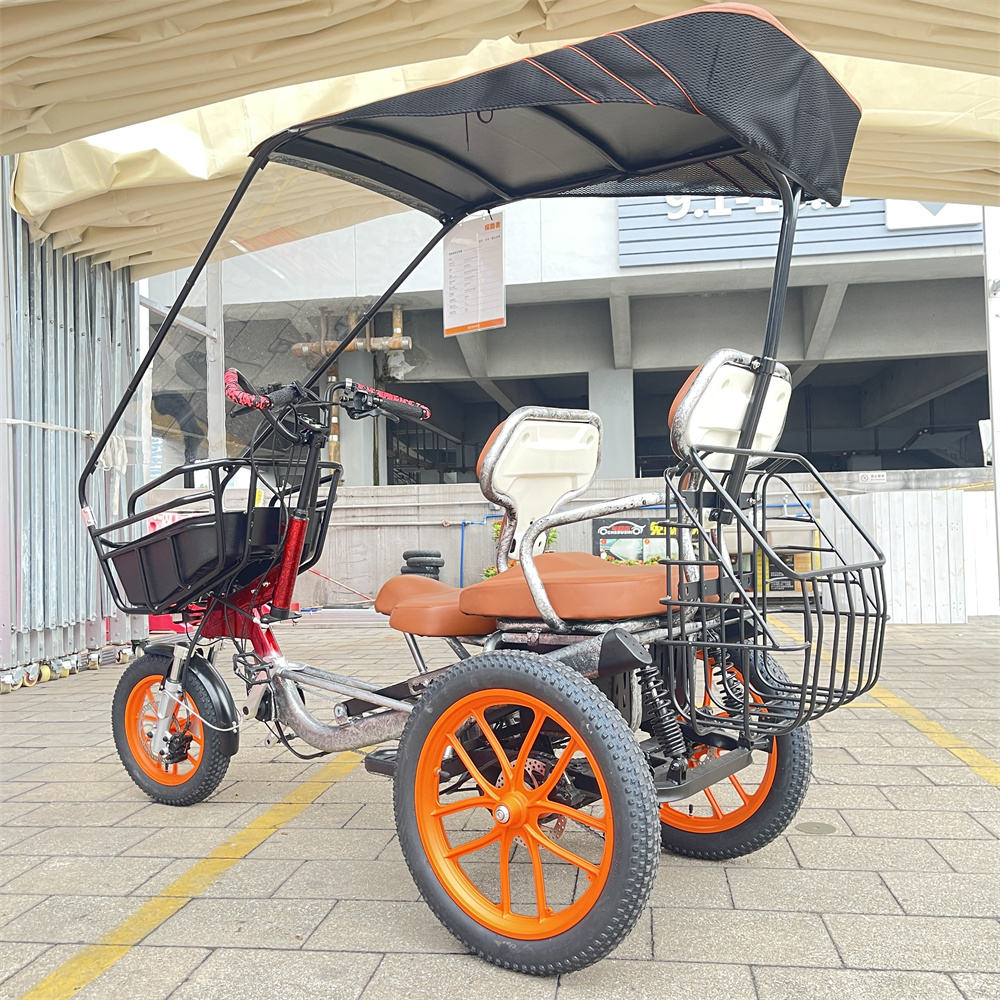 Wheel Bike Roof Durable Electric Tricycles for Passengers