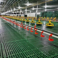 Nouvelles cages à poules d'extérieur en métal résistant aux intempéries pour la ponte des œufs – Équipement d'élevage
