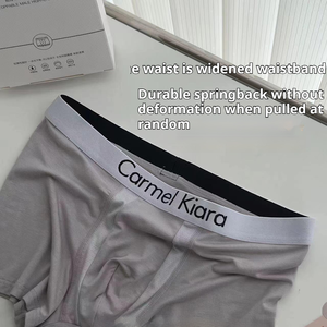 बैक्टीरियोस्टैटिक प्लस आकार के बॉक्सर मॉडल जीवाणुरोधी पुरुषों के बॉक्सर थोक में बड़े यू स्पेस पुरुषों के अंडरवियर बॉक्सर - Product Image 4