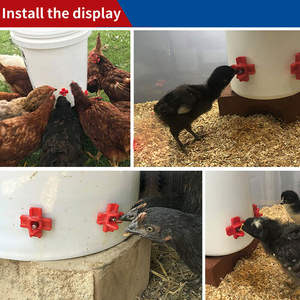 Fontaine Automatique Automatique De Volaille Volaille Volaille Eau Mamelon Outils - Product Image 2