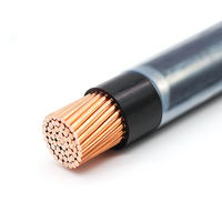 Câbles électriques THHN THW THWN-2 6 8 10 12 14 AWG THHN, câbles US torsadés, âme en cuivre 100%, câbles de construction