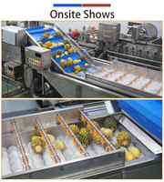 Fengxiang Grote Capaciteit RVS 304 Mango Verwerkingslijn Fruit Groenten Automatische Voedings- Was- en Blancheringsmachine 1