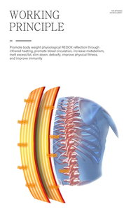 Manta de Sauna Infrarroja Profesional de 3 Zonas con Alivio del Dolor Corporal Completo, Máquina de Belleza y Desintoxicación - Product Image 2