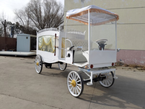 Cercueil mobile électrique écologique pour services funéraires urbains, cercueil à moteur pour des déplacements commémoratifs uniques - Product Image 5
