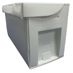 กล่อง Corex <span class=keywords><strong>Bee</strong></span> สำหรับ5เฟรมกล่องพลาสติกลูกฟูก - Product Image 1