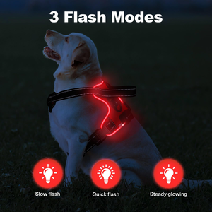 สายรัดอกสัตว์เลี้ยงแบบมีไฟ LED ยืดหดได้ พร้อมสายจูงและเข็มขัดนิรภัย - Product Image 2