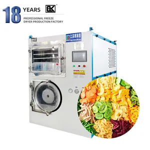 Cryogenic dehydrated vegetable vacuum flowers fruit freeze dryer equipment 10kg for meat lyophilizer