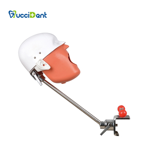 Table Phantom Head Simulator <strong>Dental</strong> <strong>Dental</strong> Simulator Head <strong>Dental</strong> <strong>Simulation</strong> <strong>Unit</strong> Price - Product Image 2