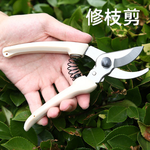 White Handled Curved Pruning Shears Stainless Steel Bypass Pruner For Garden Fruit Tree Flower Trimming 10-20 Mm - Product Image 2