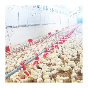Hochwertige Hühner zucht Gebäude Geflügel Farm Ausrüstung mit Preisen zum Verkauf