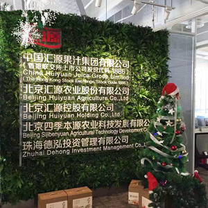 Planta de pared Artificial resistente a los rayos Uv <span class=keywords><strong>para</strong></span> exteriores, hecha a mano, de alta calidad, <span class=keywords><strong>para</strong></span> decoración <span class=keywords><strong>Vertical</strong></span> de jardín - Product Image 3
