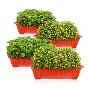 Jardinière <span class=keywords><strong>rectangulaire</strong></span> en <span class=keywords><strong>plastique</strong></span> pour pépinière de jardin à prix abordable - Product Image 1
