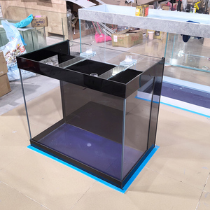 40-갤런 미니 수족관 사무실 및 거실 미니 수생 디스플레이를위한 작은 유리 어항 - Product Image 6