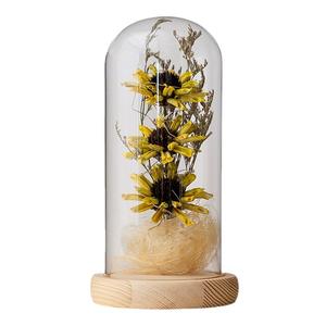 Fleur éternelle sous cloche en verre, tournesol, fleur de sésame, veilleuse LED, cadeau de Noël, Saint-Valentin, vente en gros d'usine - Product Image 2