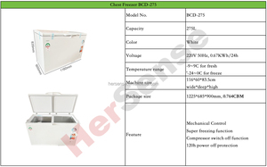 Congélateur coffre blanc à double porte, température unique, dégivrage manuel, première classe d'efficacité énergétique pour le stockage domestique et commercial - Product Image 6