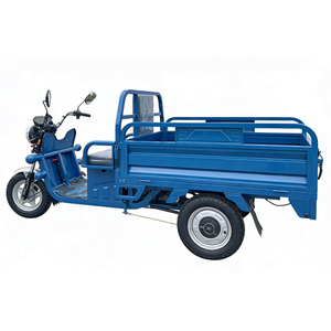 Motocicleta Eléctrica <span class=keywords><strong>de</strong></span> Carga <span class=keywords><strong>de</strong></span> 3 Ruedas, Chasis Personalizado, Rodamientos, Neumáticos, Camper, 60V 1000W, Trabajo Pesado Agrícola - Product Image 2