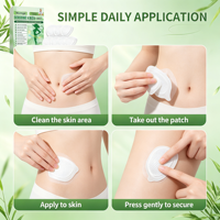 Patch Corporel Avancé Nano-Microneedle Moringa Berbérine NAD+ Complexe 10-en-1 Doux pour la Peau, Autocollant Portable Transdermique pour Soins Corporels