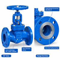 Vanne à soupape à bride DN65 PN16 en fonte ductile GGG50 pour l'irrigation des terrains de golf et les systèmes de canalisations d'eau des parcs paysagers
