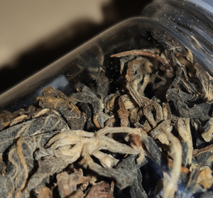 Tisana cruda essiccata naturale foglia di damiana essiccata per bere
