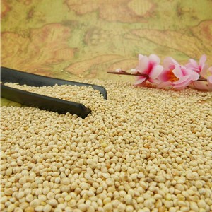 Grain <span class=keywords><strong>de</strong></span> millet chinois bien sélectionné prix <span class=keywords><strong>de</strong></span> gros millet blanc séché - Product Image 1
