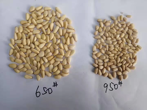 Best Price Wholesales Top Grade Natural Raw Cedar Pine <strong>Nuts</strong> Red Pine <strong>Nut</strong> <strong>Kernels</strong> Export Factory - Product Image 6