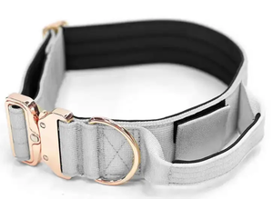 Nueva llegada al aire libre pesado personalizado perro caminando corriendo Paracord cuerda <span class=keywords><strong>Collar</strong></span>, personalizado 4cm 5cm <span class=keywords><strong>Collar</strong></span> de perro con Airtag bolsillo de lujo - Product Image 4