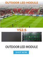 Módulos de Pantalla LED P2.5 para Exteriores, 320*160mm, IP66 Impermeables, Resolución 4K, Pantalla para Escenarios, 5000cd de Brillo, Legibles Bajo la Luz Solar
