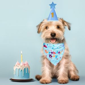 Set per Festa di Compleanno per Cani: Bandane Ecologiche Usa e Getta, Cappelli per Maschi e Femmine, Numeri, Bandiere e Palloncini per Animali Domestici - Product Image 2