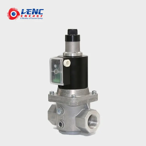Le caldaie del bruciatore parte l'elettrovalvola a solenoide 12V con apertura lenta - Product Image 2