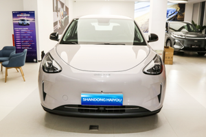 Auto Elettrica Smart <span class=keywords><strong>Tram</strong></span> Modello Star 2026 Edizione Dream 310km Best-seller - Product Image 2