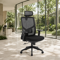 Chaise de bureau contemporaine confortable pour une utilisation prolongée, dossier en maille, hauteur réglable, chaise ergonomique