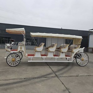 Charrette à chevaux électrique rétro Victoria 8 places pour l'agrotourisme, les attractions touristiques et le transport commercial - Product Image 5