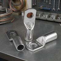 OEM ODM 600V Cosses annulaires plaquées étain, connecteurs de câbles métalliques pour assemblage électrique