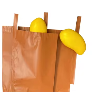 Dubbelwandige witte en zwarte waterdichte papieren zakken, gratis klantlogo en maat, gratis sample mango zak - Product Image 1