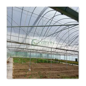 农业隧道铝步行者全天候波纹组装隧道草莓温室
