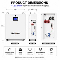 Batterie domestique grande capacité Hysonn 51.2V 230Ah 11.77kWh, lithium fer phosphate, pour armoire murale, pour sauvegarde PV et alimentation des entrepreneurs, OEM