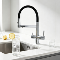 Nouveau Robinet de Cuisine Moderne en Acier Inoxydable Chromé à Double Poignée, Robinet Mélangeur 4-en-1 avec Eau Pétillante et Filtre 4 Voies