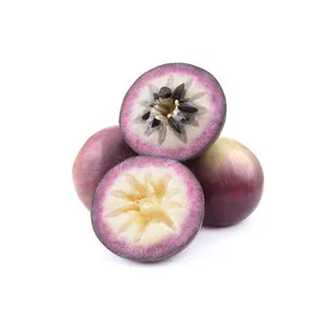Fruta de primera calidad de Star Apple, exporta frutas de vietnam, entrega rápida y empaquetada con cuidado