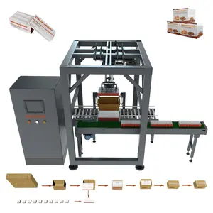 Food Cases/Little Box pack in the Carton by Robot Packaging with Palletizing System