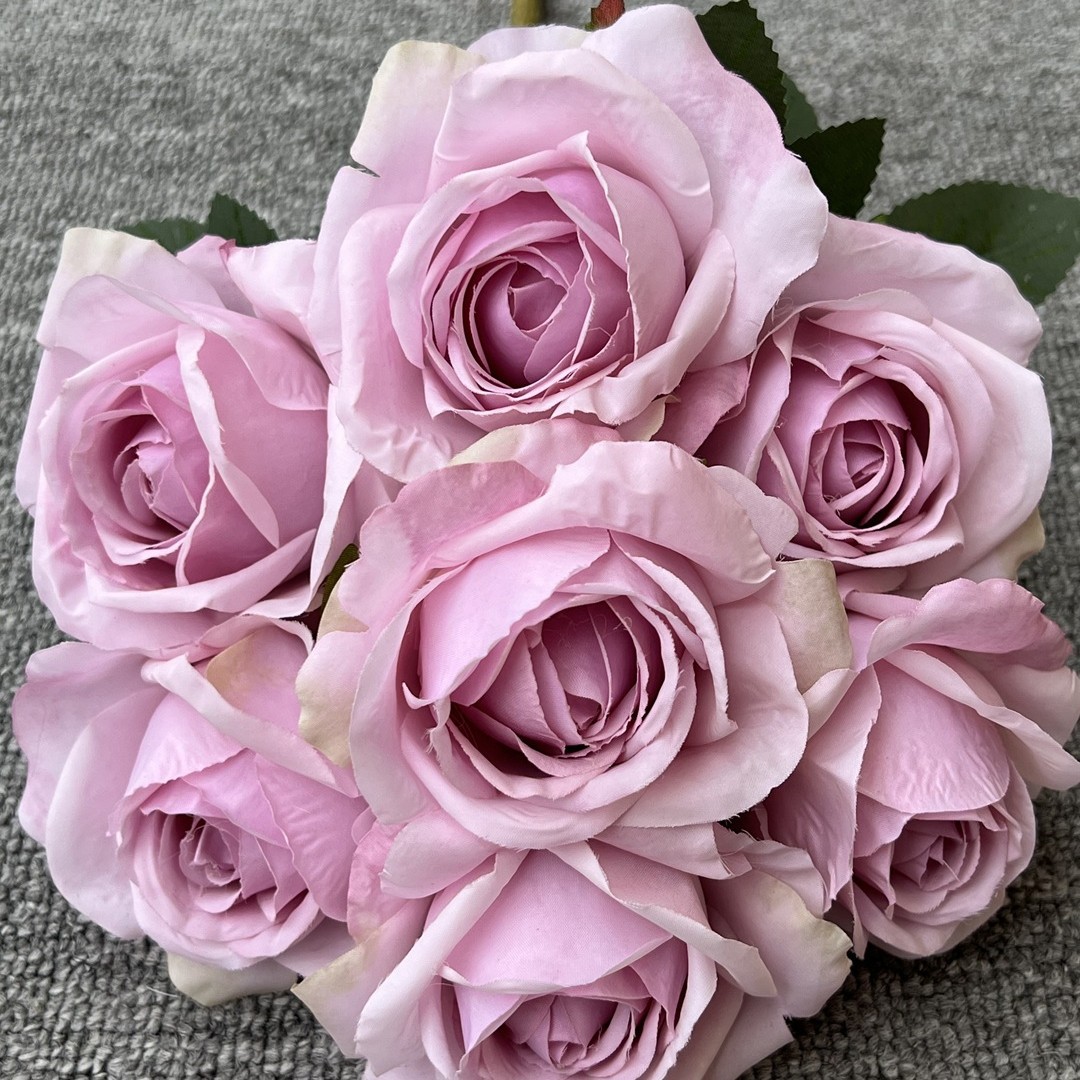 7 rose bulgare rose pourpre