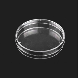 Placas de Petri de 55 mm y 60 mm, Placas de Cultivo Celular Desechables de Plástico para Uso en Laboratorio - Product Image 3