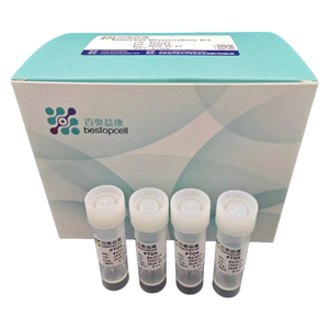 Phân ly mô cho nghiên cứu ISO 9001 ba3314 tụy phân ly <span class=keywords><strong>Kit</strong></span> (4 <span class=keywords><strong>test</strong></span>) - Product Image 1