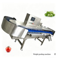 Automatische aardbeien- en citrus sorteermachine voor fruitverwerkingsbedrijven